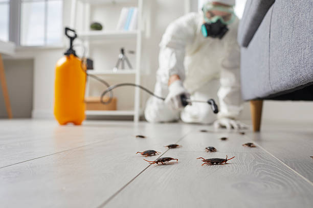 Commercial Kitchen Cockroach Control in Pukalani